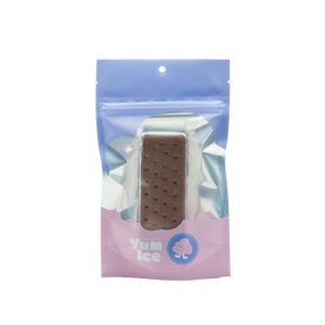 Freeze Dried Ice Cream Sandwich