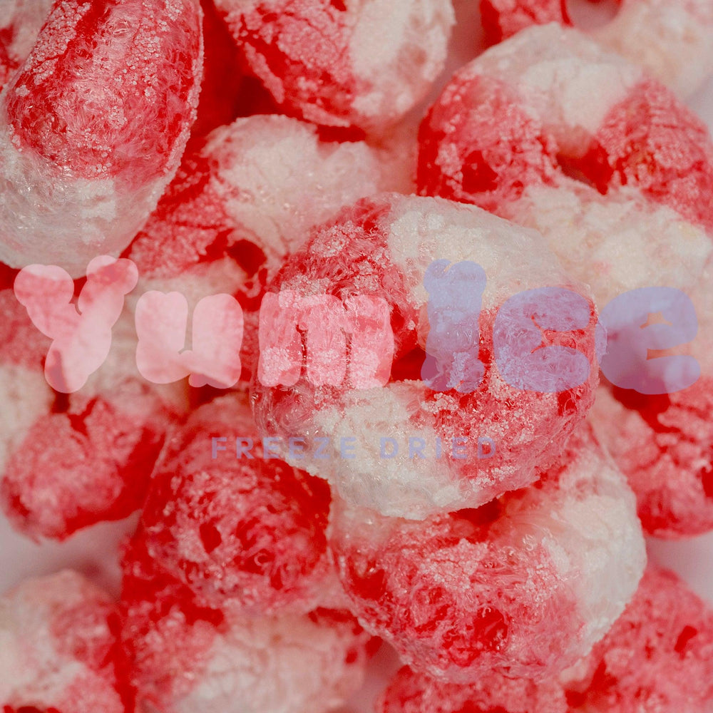 Freeze Dried Sour Gummy Rings - Yum Ice Freeze Dried